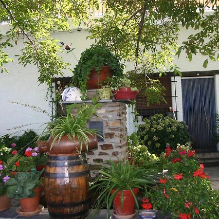 Apartamentos Y Casas Rurales Las Terrazas De La Alpujarra Bubión Eksteriør billede
