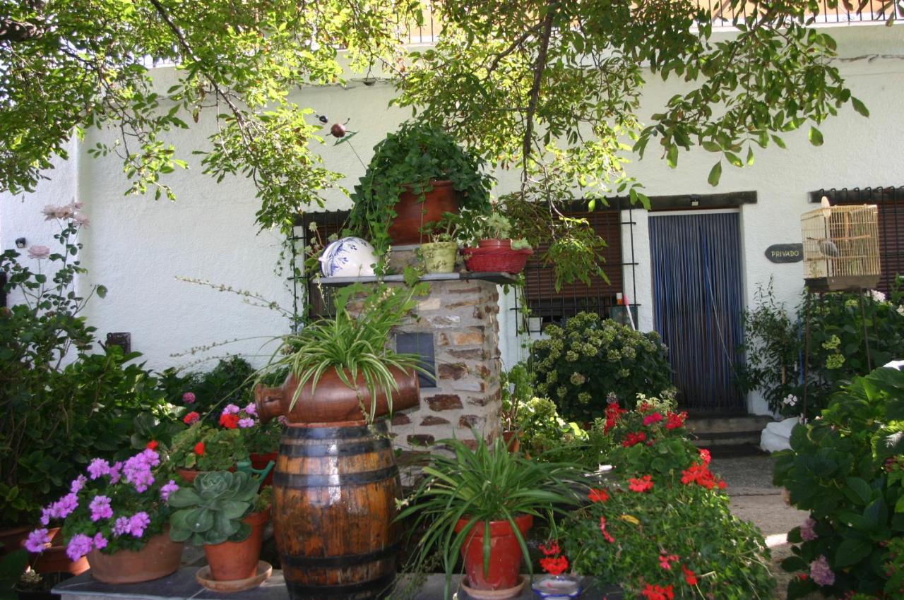 Apartamentos Y Casas Rurales Las Terrazas De La Alpujarra Bubión Eksteriør billede